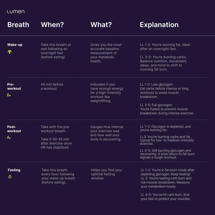 body_recomposition_04