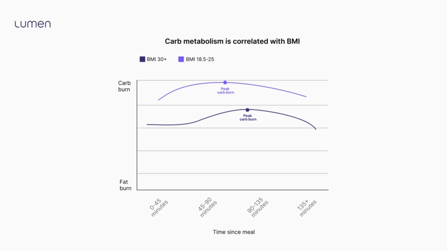 metabolic syndrome_metabolic disorder_3
