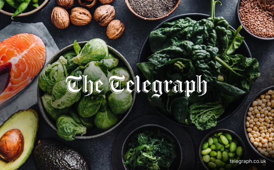 Telegraph Lumen 2