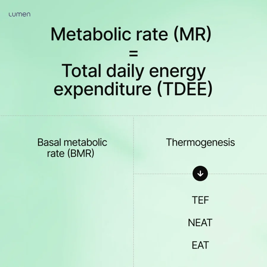 Metabolic rate