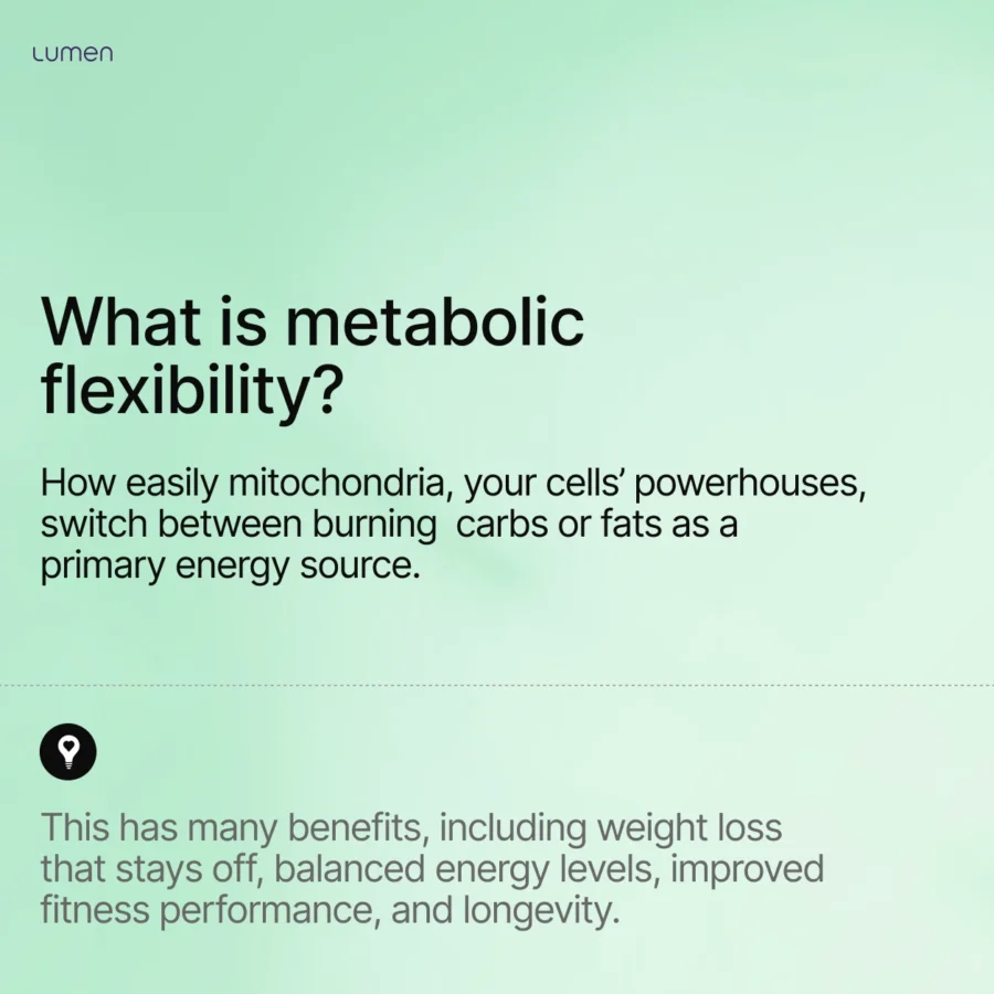 What is metabolic flexibility?