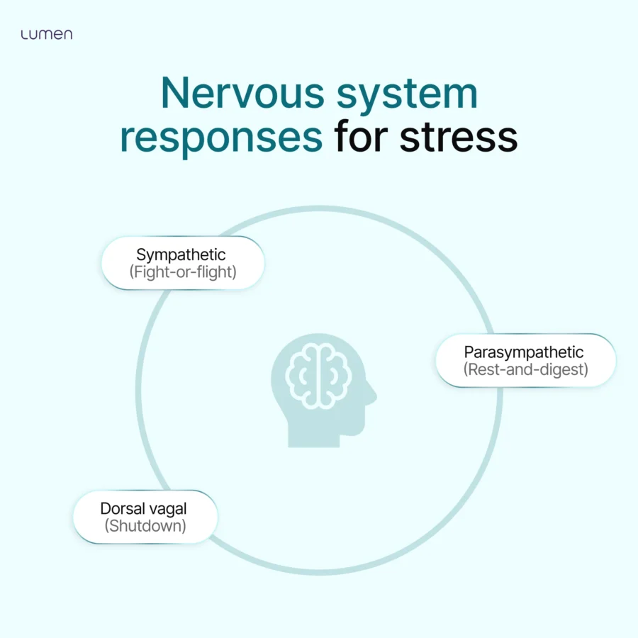 Nervous system responses for stress