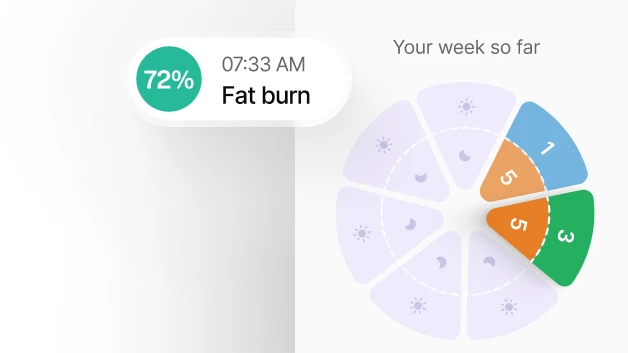 anti-inflammatory_diet_Lumen_4